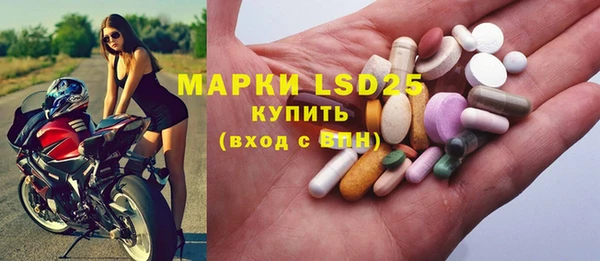 гашик Бородино
