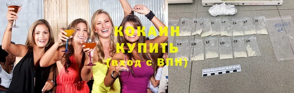 гашик Бородино