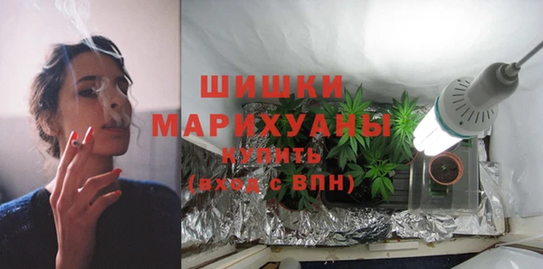 гашик Бородино